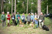Novice - June 2019