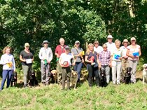 NDNH - August 2019