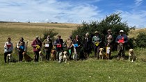Puppy, ND/NH & Veteran Tests 16th July 2023