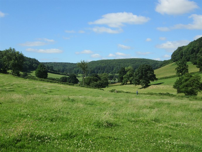 General View Waterley Bottom
